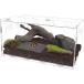 [ параллель импортные товары ] winemana Reptile Terrarium Tarantula Enclosure 16inch x 11inch x