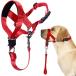 Barkless Dog Head Collar  No Pull Head Halter for Dogs  Adjustable  Padded Headcollar with Training