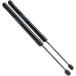 ¹͢ʡ TSUBASA Lift Supports Dampers for 2004-2008 Acura TL Front Hood Bon