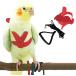 [ параллель импортные товары ] Dnoifne Pet Parrot Bird Harness and Leash Adjustable Training Desi