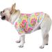 [ параллель импортные товары ] CuteBone Dog Winter Clothes Tie Dye Tornado Thick Velvet Coat Puppy