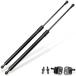 TAKEGAWA Lift Supports for Nissan 350Z 2005 35th Anniversary Edition Coupe Rear Liftgate Hatch Tailgate Gas Struts Charged Shock Spring Damper Bar