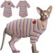 [ параллель импортные товары ] Bonaweite Sphynx Hairless Cats Shirt Cornish Rex Kitten Rainbow St