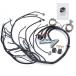 Standalone Swap Wire Wiring Harness 4L60E DBW for Chevy for GMC for LS for LS3 Engine Vortec 8 Cylinders 4.8 5.3 6.0 EV6 Injector 2003-2007 (Drive