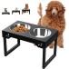 [ параллель импортные товары ] Sunmeyke Stainless Steel Dog Bowl Stand Elevated Dog Bowls for Sma