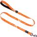 [ параллель импортные товары ] FURMYLOVE Floral Pattern Girl Dog Leashes with Soft Handle 5Ft Ligh