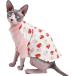 [ параллель импортные товары ] Sphynx Hairless Cat Cute Breathable Summer Cotton T-Shirts Milk Bot