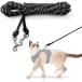 [ параллель импортные товары ] Extra Long Cat Lead for Garden 15M/50FT Lightweight Outdoor Cat Le