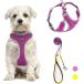 [ параллель импортные товары ] ThinkPet Reflective Breathable Soft Air Mesh No Pull Puppy Choke Fr