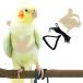 [ параллель импортные товары ] Pet Parrot Bird Harness and Leash Adjustable Training Design Anti-