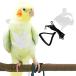 [ параллель импортные товары ] Pet Parrot Bird Harness and Leash Adjustable Training Design Anti-
