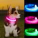 ¹͢ʡ KOSKILL Light Up Dog Collar at Night  Led Dog Collar Adjustable  Li