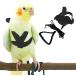 [ параллель импортные товары ] Cockatiel Harness and Leash Adjustable Parrot Bird Training Design