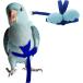[ параллель импортные товары ] Peony Harness and Leash Adjustable Parrot Bird Training Design Ant