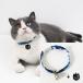 [ параллель импортные товары ] Breakaway Cat Collar for Boy Cats Personalized Kitten Blue Collars