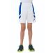 asics Asics G12 GAME PANTS brilliant белый x Asics голубой 160 2064A010 102 | спорт баскетбол баскетбол игра брюки Kids 