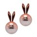 ���r�b�R�G�A�[�V���C��(RABBICO AIR SHINE) /�G���W�F���X�m�[ ���i�ԍ� 8764
