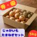  Kyushu производство овощи набор 5kg.. овощи комплект картофель шар лук порей бесплатная доставка 