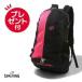 Spalding Kei ja-b Lee z черный × пурпурный (CAGER BREEZE)[SPALDING][ Spalding рюкзак ][2024SS]