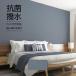 ɻ  Τդ DIY ե ȥ ʪĴ ̵ ͥӡ ѥå ɽ̾   ɥ ̥ ѥ֥ TWS8255TWS8148 50cm