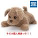 ���ʌ�����T�I�^�J���g�~�[�A�[�c �����Ƃ��肱���_�b�L�[ ���܂̎q���[�����v���[���g��