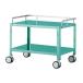 na винт (az one ) Mini красочный stain Wagon ( крюк имеется * низкий пол модель ) Large зеленый MCSWL-2GF 4589638294150