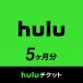 Hulu билет 5 месяцев минут 