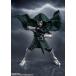 ����������S.H.Figuarts �h�N�^�[�E�h�D�[�� (�A�x���W���[�Y/�h�D�[���Y�f�C) �o���_�C�X�s���b�c �t�B�M���A �y12���\��z �֘A�摜4