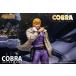 �����������X�g�[�� �R���N�e�B�u���Y �wCOBRA THE SPACE PIRATE�x �R�u�� �X�y�V�����G�f�B�V���� �����i���t�B�M���A �y����\��z �֘A�摜3
