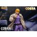 �����������X�g�[�� �R���N�e�B�u���Y �wCOBRA THE SPACE PIRATE�x �R�u�� �X�y�V�����G�f�B�V���� �����i���t�B�M���A �y����\��z �֘A�摜5
