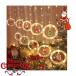�J�[�e�����C�g �N���X�}�X�c���[ �d�� �N���X�}�X�C���~�l�[�V���� �������O���p �N���X�}�X���胉�C�g �A�N�Z�T���[10�t��led  USB���d�^�C�v 3M �֘A�摜1