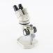 [DW]USED 8 день гарантия NIKON Microscope микроскоп SW10× [04684-0010]