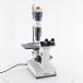[DW]USED 8 день гарантия OLYMPUS IM Microscope CK10× Bi 4 0.10 10 0.25 LWD C20/0.4 шнур электропитания [04718-0003]