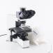 [DW]USED 8 день гарантия OLYMPUS BX40F4 Microscope Plan 4× 10× 20× шнур электропитания [04791-0008]