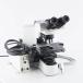 [DW]USED 8 день гарантия OLYMPUS BX41TF Microscope LG-PS2 LG-DI WHN10×/22 PlanN 4× 10× 20× 40× SPlan100 шнур электропитания [04888-0063]