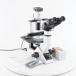 [DW]USED 8 день гарантия OLYMPUS CKX41 CKX41SF Microscope разведение микроскоп WHB10×/20 Cach N 10×/0.25 UPlanFL N 4×/0.13 PhP брать...[05230-0005]