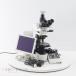 [DW]USED 8 день гарантия OLYMPUS BX51TF Microscope микроскоп WHN10×/22 4×/0.13 10×/0.30 20×/0.50 40×/0.75 DP20-5 ACadap...[05424-0011]