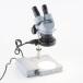 [DW]USED 8 день гарантия HOZAN L-50 STEREO MICROSCOPE реальный body микроскоп DEVICE VIEWER WF10× 46mm UV L-65 [05628-0096]