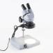 [DW]USED 8 день гарантия HOZAN L-50 STEREO MICROSCOPE реальный body микроскоп WF10× 46mm UV L-65 [05628-0098]