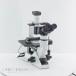 [DW]USED 8 день гарантия OLYMPUS CKX41 CKX41SF Microscope перевернутый микроскоп WHB10×/20 4× 10× 20× 40× шнур электропитания [06064-0017]