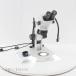 [DW]USED 8 день гарантия OLYMPUS SZ61 SZ Microscope реальный body микроскоп WHSZ10×-H/22 AC адаптор шнур электропитания [06064-0103]