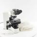 [DW]USED 8 день гарантия OLYMPUS BX41 BX41TF Microscope система живое существо микроскоп WH15×14 4× 10× 40× 100× шнур электропитания [06111-0041]