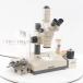 [DW]USED 8 день гарантия OLYMPUS SZ6045TR SZ60 Microscope реальный body микроскоп GSWH10×/22 NFK 5× 3.3× U-PMTVC шнур электропитания инструкция по эксплуатации [06407-0019]