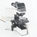 [DW]USED 8 день гарантия OLYMPUS BX50F BX50 Microscope микроскоп WH10×/22 Plan 4×/0.10 10×/0.25 20×/0.4 40×/0.65 100×/1....[07377-0056]