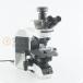 [DW]USED 8 день гарантия OLYMPUS BX53F BX53 Microscope микроскоп WHN10×/22 UPlanFL N 10×/0.30 40×/0.75 100×/1.30 DP26 U-TV...[07395-0004]