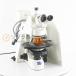 [DW]USED 8 день гарантия Carl Zeiss Axioskop 2 plus HBO 100 HAL 100 Microscope микроскоп W-Pl 10×/23 Plan-NEOFLUAR 20×/0.50...[07432-0040]