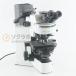 [DW]USED 8 день гарантия OLYMPUS BX51TRF BX51 Microscope микроскоп WHN10×/22 UPlanFL N 10×/0.30 20×/0.50 40×/0.75 100×/1....[07432-0046]