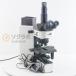 [JB]USED гарантия нет OLYMPUS BX60F5 BX60 Microscope микроскоп WH10×/22 2.5×/0.08 5×/0.10 10×/0.25 20×/0.40 50×/0.50...[07547-0011]