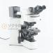 [DW]USED 8 день гарантия OLYMPUS BX51TRF BX51 Microscope микроскоп WHN10×/22 Plan 10×/0.25 UPlanFL N 40×/0.75 шнур электропитания [07912-0005]