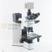 [DW]USED 8 день гарантия OLYMPUS BX51TRF BX51 Microscope микроскоп WHN10×/22 LMPlan IR 5×/0.10 10×/0.25 20×/0.40 50×/0.55...[08070-0038]